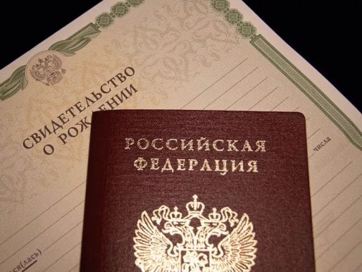 Заявление на льготное питание в школе: образец, порядок оформления ...