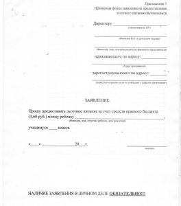 Образец заполнения заявления на питание в школе 1 4 класс